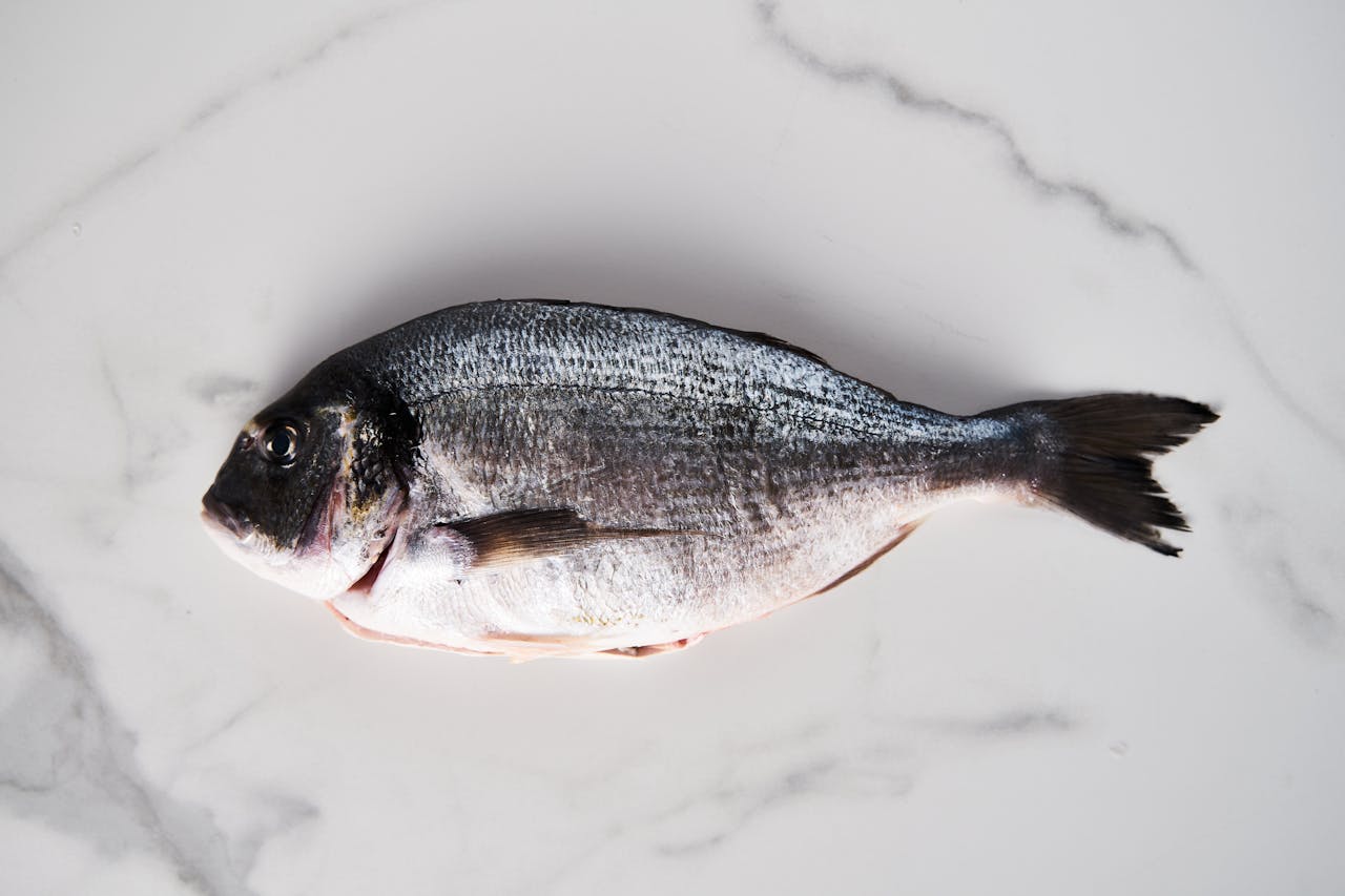 A whole fresh fish placed on a white marble surface, perfect for culinary or seafood themes.